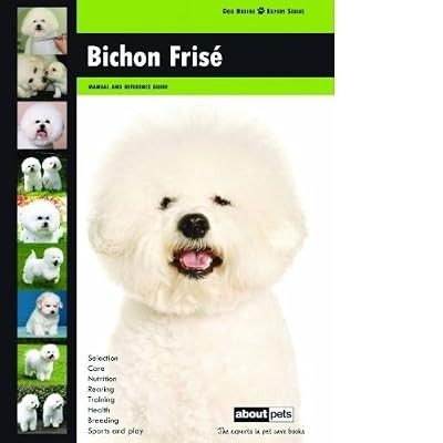 Bichon frise dog - bichon, expert