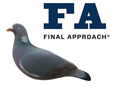 FA-195004 LAST PASS *FULLY