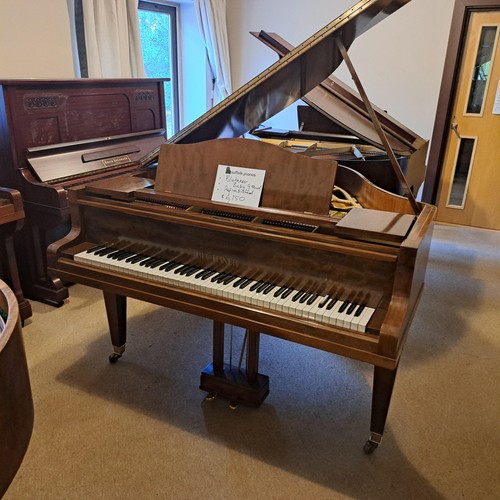 Bluthner baby grand piano - ,