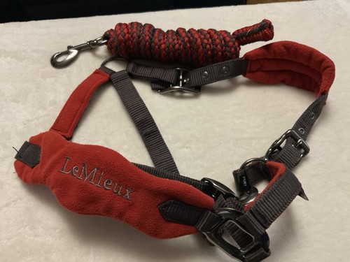 Mieux pony headcollar - le, and