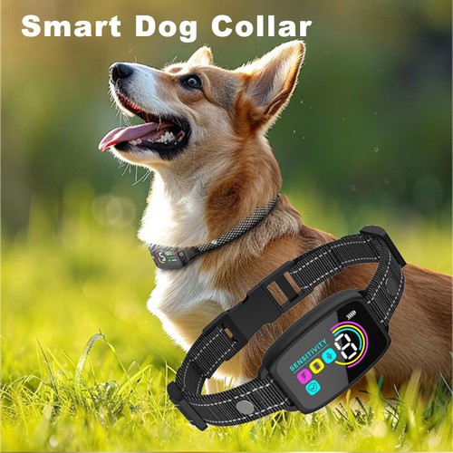Smart anti bark collar - collar, stop