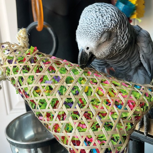 Foraging pouch chewable parrot - foraging,