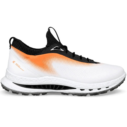 Ecco 2026 gore tex mens - c5, gore-tex