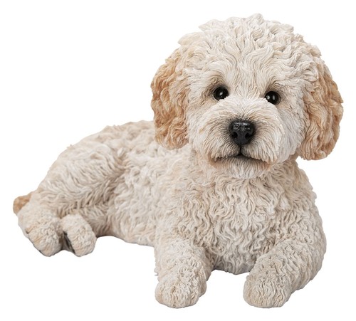 Vivid arts labradoodle crème - arts,