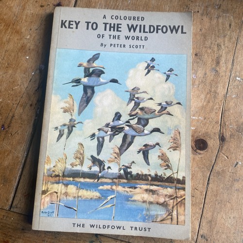 Coloured key the wildfowl - key, to