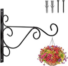 25cm Outdoor Hanging Basket