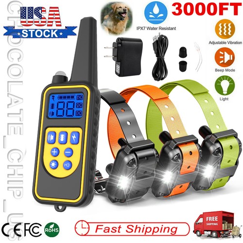 Dog training collar - dog,