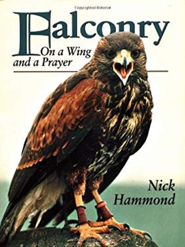 Falconry wing and - :,