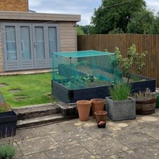 Fruit vegetable cage with - cage,