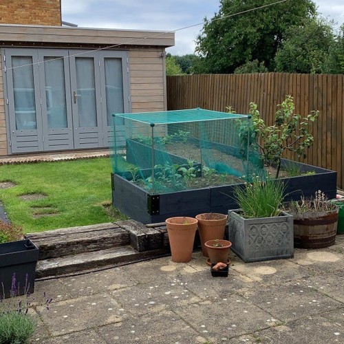 Fruit vegetable cage with - vegetable,