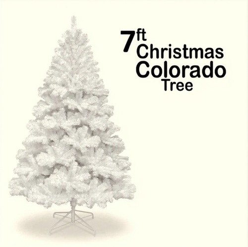 Christmas tree xmas colorado - tree,