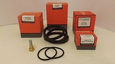 Beta Marine 10,14,16,20,25 (Mini Series) Genuine Service Kit & Standard 'V' Belt
