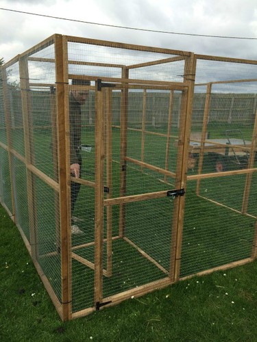 Large outdoor wood - large,