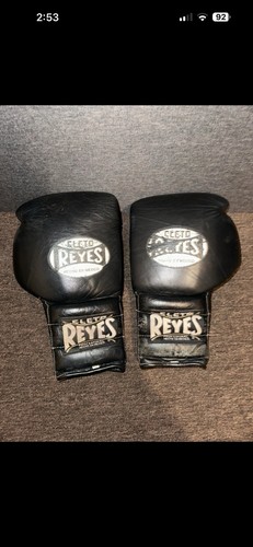 Cleto reyes 14oz boxing gloves - boxing,