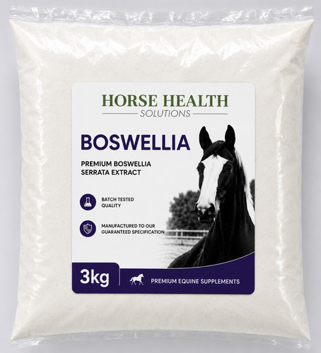 Boswellia serrata powder - boswellia,