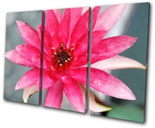 Floral Flowers BOTANICAL