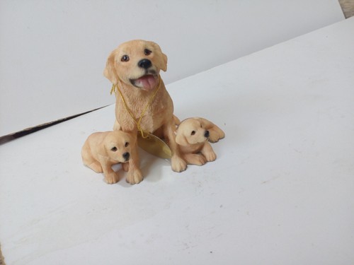 Dogs labrador and puppies - and,