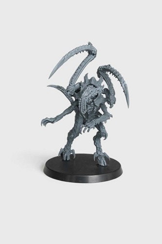 Warhammer dnd wargaming - dnd,,
