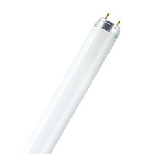 Osram fluorescent tube LUMILUX - T8,865 daylight - 15W - tube daylight