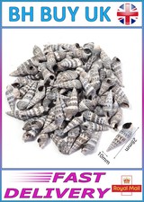 40g AQUARIUM SNAIL SHELLS