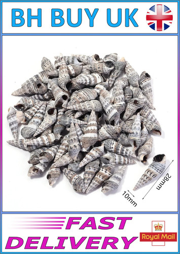40g aquarium snail - 40g,