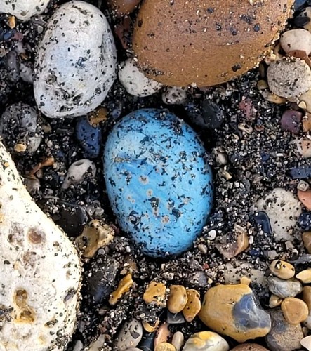Very large 5cm blue galaxy - very, 6.5cm