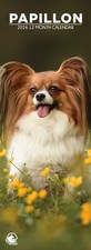 Papillon Dog 2026 Slim Calendars