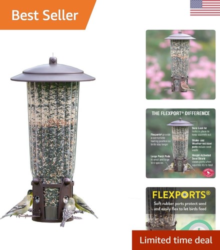 Squirrel gone bird - bird, feeder