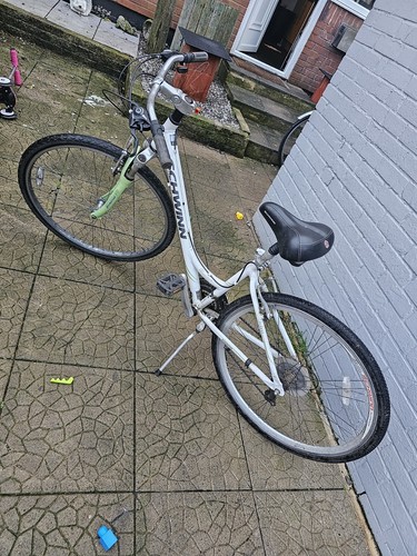 Schwinn trailway step through - step,