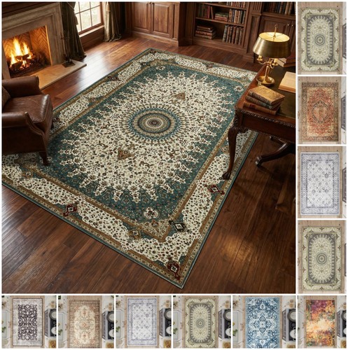 Large traditional rugs living - traditional,
