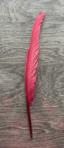 Novelty stationery burgundy - novelty,