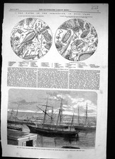 Old 1857 Fox Arctic Discovery