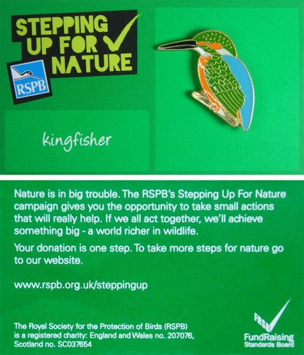 Rspb pin badge - sufn, kingfisher