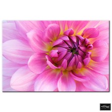 Floral Flowers BOTANICAL   BOX