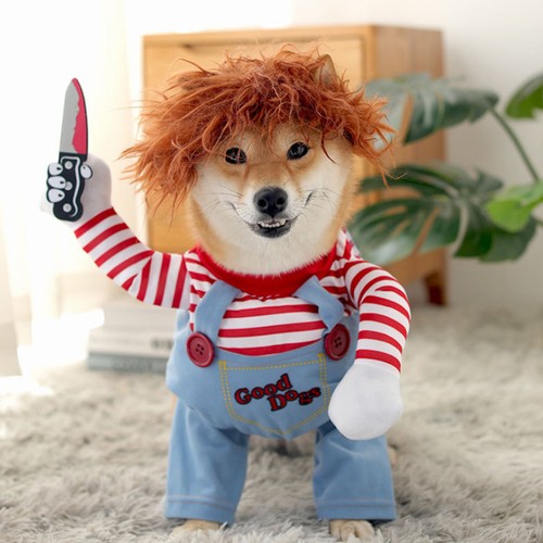 Pets dogs halloween costume - halloween,
