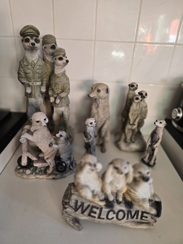 Rare collection meerkat family - collection,