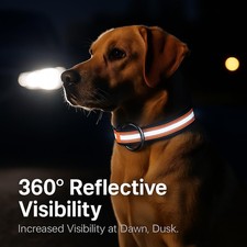 Reflective Waterproof Dog