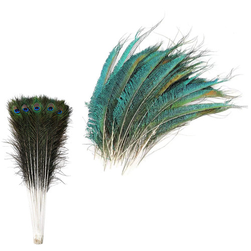Peacock tail feathers 30cm - peacock, 25-30cm