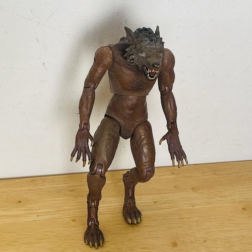 Doctor who werewolf - doctor, action