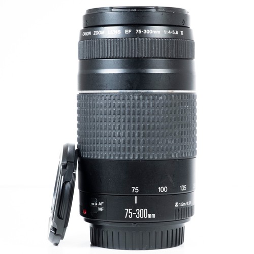 Canon 300mm 5 6 - f/4.0-5.6, iii