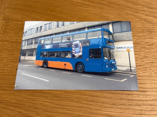 Blue star bus - bus, (n539