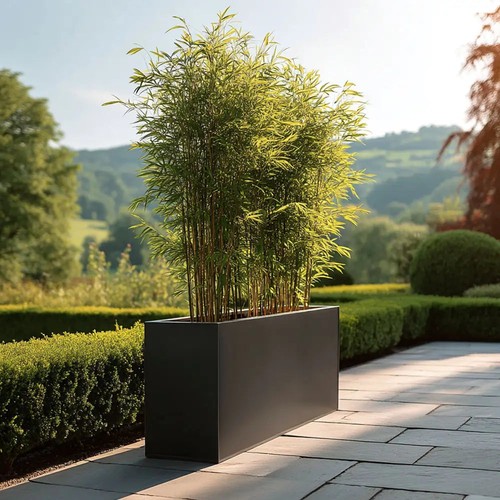 Zinc galvanised long tall - long,