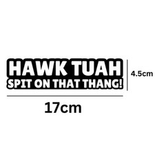 Hawk Tuah vinyl sticker funny car decal window spit on that thang Single Colour