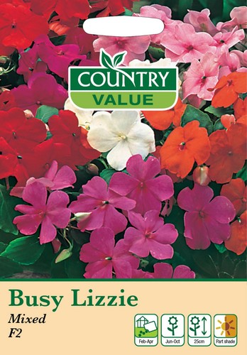Busy lizzie mixed seeds - busy,