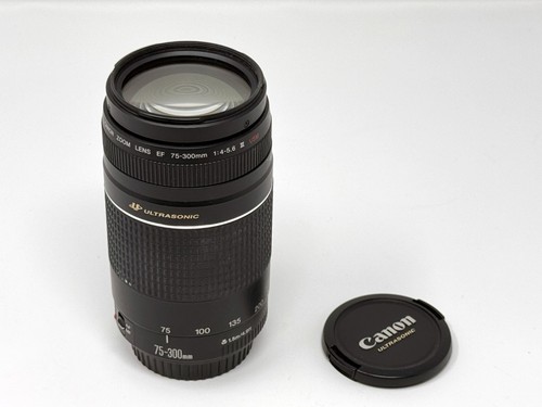 Canon 300mm lens 4 - canon, 75-300mm