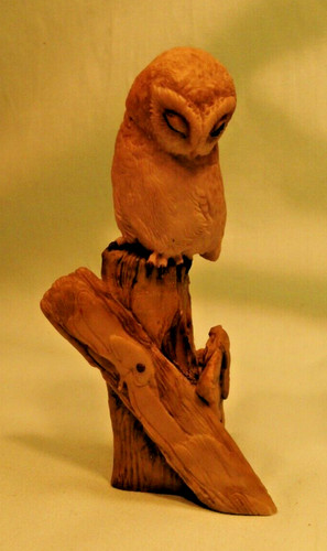 Teviotdale owl fence - teviotdale,