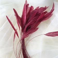 Stripped Coque Feather