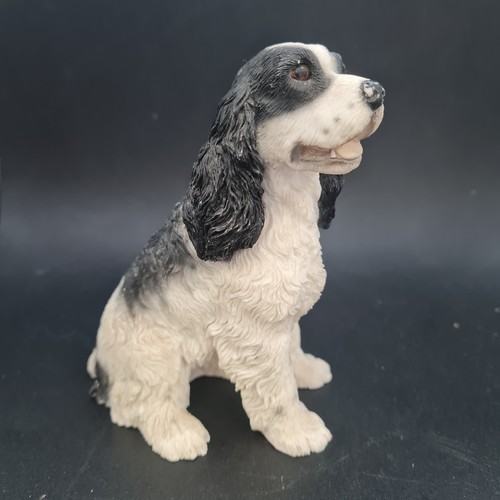Black white cocker spaniel - black,