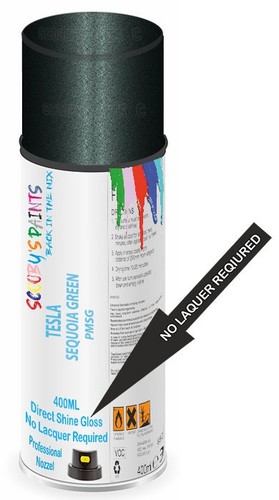 G100e direct shine paint - g100e,