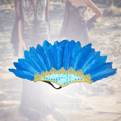 Feather headdress fashion - feather,